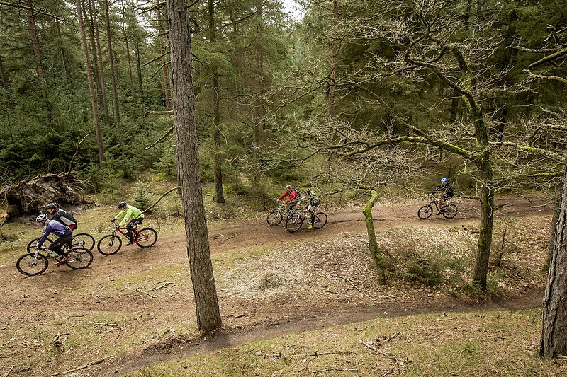 File:Mountainbiking in Varde.jpg