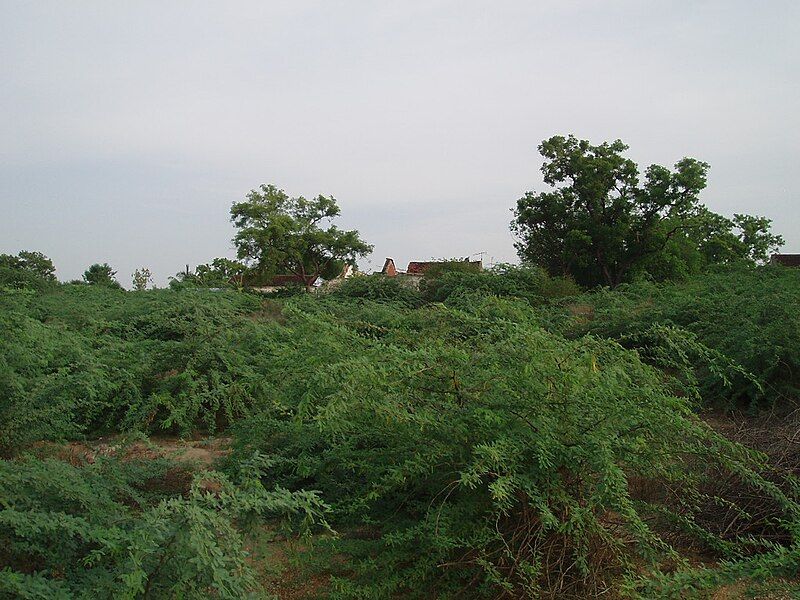 File:Noyyal, Ungampalayam4.jpg