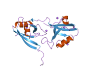 2i1n: Crystal structure of the 1st PDZ domain of Human DLG3