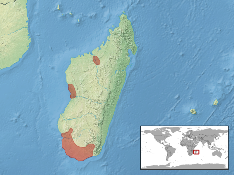 File:Phelsuma mutabilis distribution.png