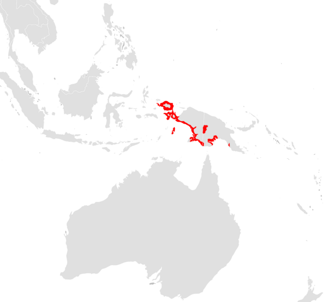 File:Rhipidura maculipectus range.png