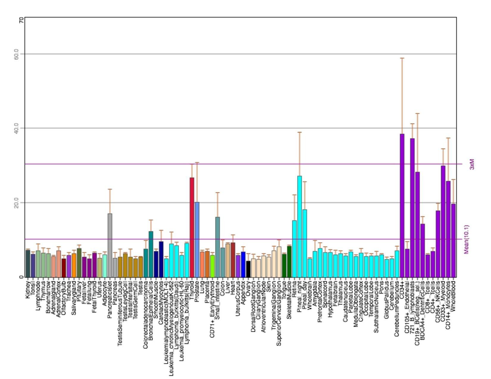 TMEM251 Tissue Expression