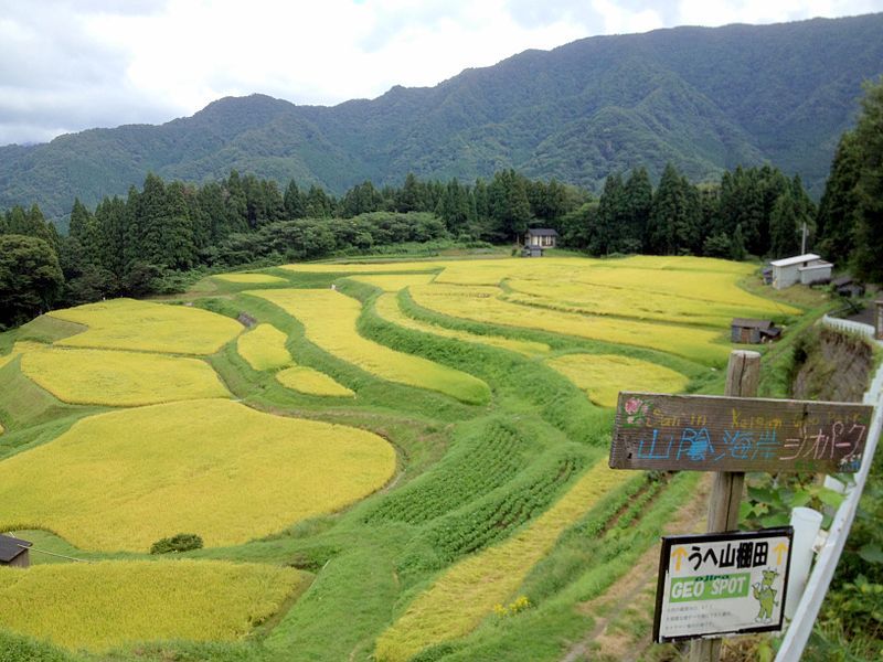 File:Ueyama-Tanada-Autumn.JPG