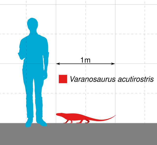 File:Varanosaurus Scale.svg