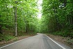 A portion of the "Tunnel of Trees" section running between Harbor Springs and Good Hart; note the lack of a centerline.