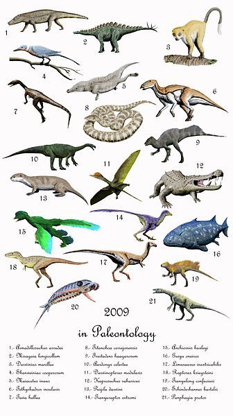 File:2009 palaeo NT.jpg