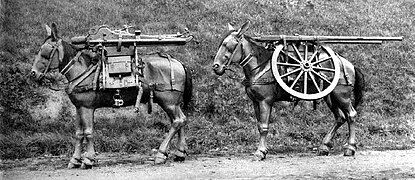 C/80 carriage and wheels.