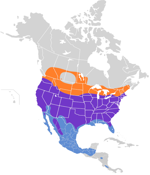 File:Accipiter cooperii map.svg