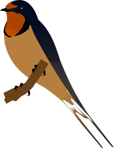 File:Barn Swallow.svg