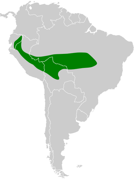 File:Chaetura egregia map.svg