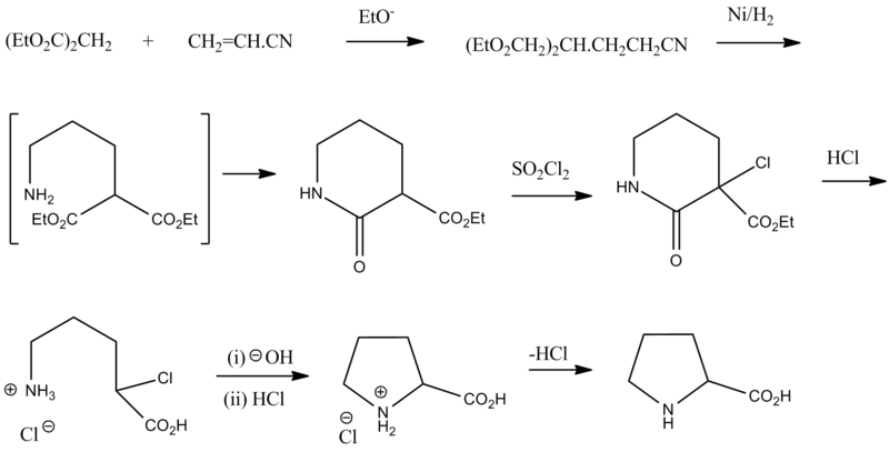 File:DL-Proline synth.png