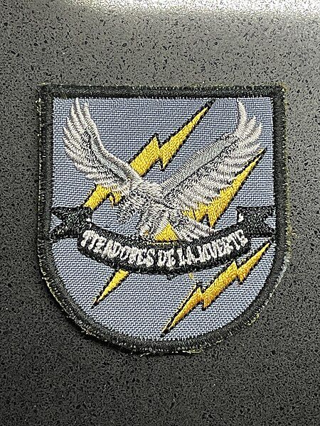 File:LRR patch.jpg