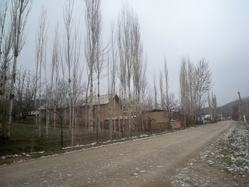 File:Main road, Ak-Bulak.JPG