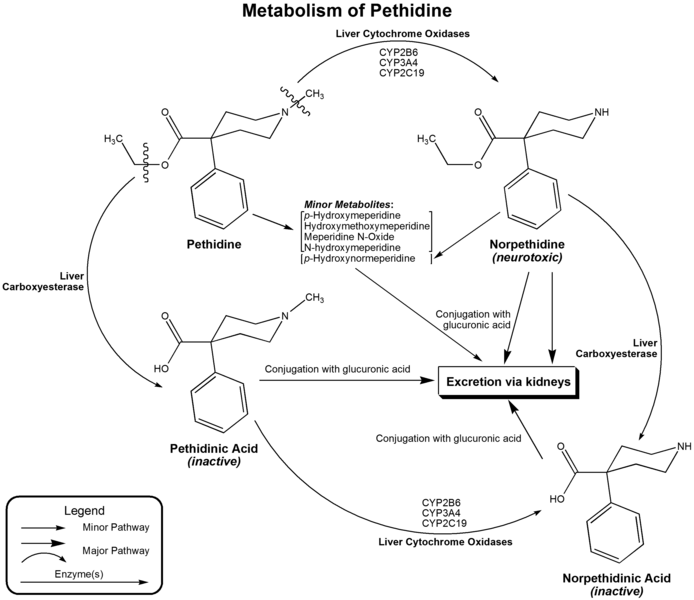 File:Metabolism of pethidine.png