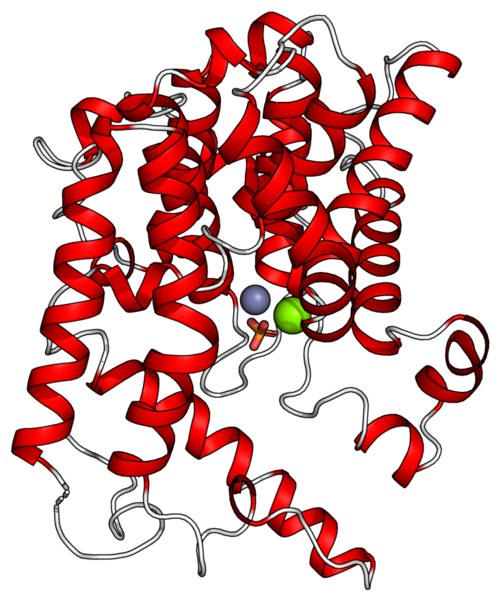 File:PDB 1z1l.png