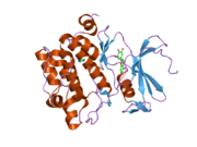 2o65: Crystal structure of Pim1 with Pentahydroxyflavone