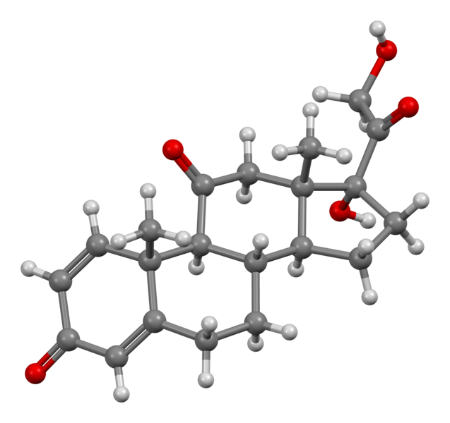 File:Prednisone-from-xtal-3D-bs-17.png