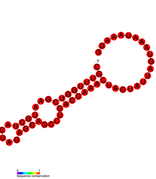 3'-terminal pseudoknot of CuYV/BPYV: Predicted secondary structure taken from the Rfam database. Family RF01095.