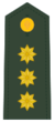 Coronel