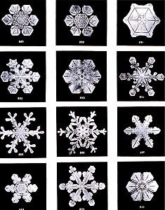 Snowflakes, at and by Wilson Bentley