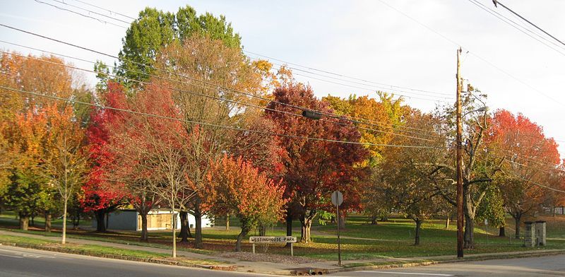 File:Westinghouse Park.jpg