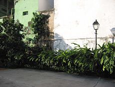 Wall against which 2 stone benches were located where gays used to sit, chat and fondle each other.