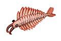 Anomalocaris, an anomalocarid.