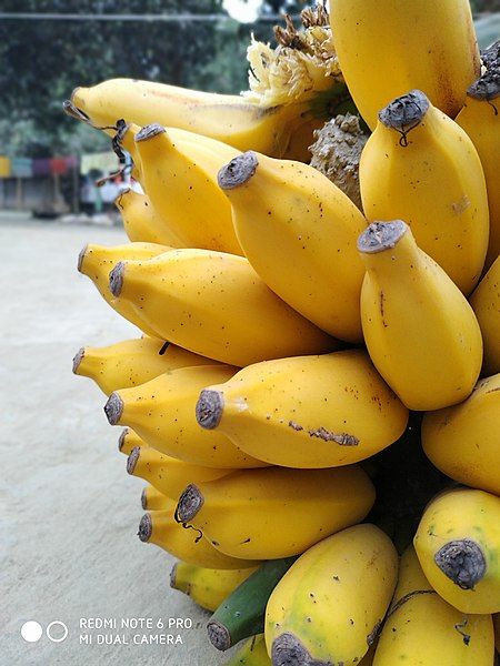 File:Banana 4.jpg