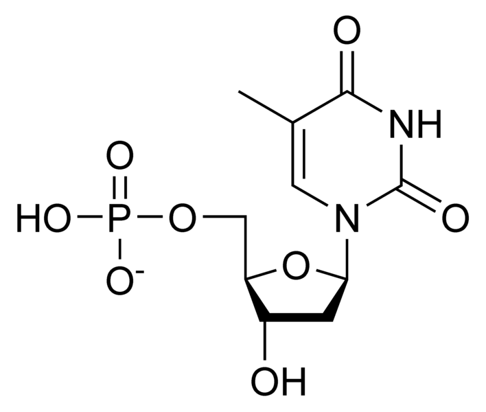 File:DTMP chemical structure.png