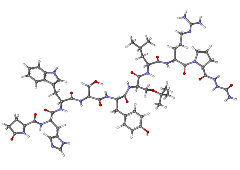 File:Goserelin ball-and-stick.png