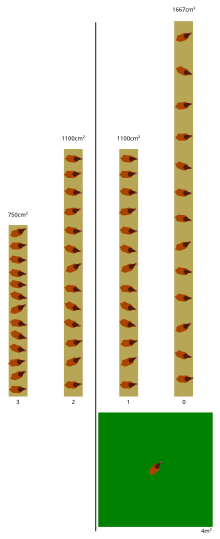 A diagram showing amount of m2 per 13 hens for different levels: from 3 (left) to 0 (right).