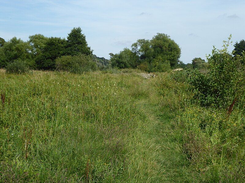 File:Marston Marshes 2.jpg