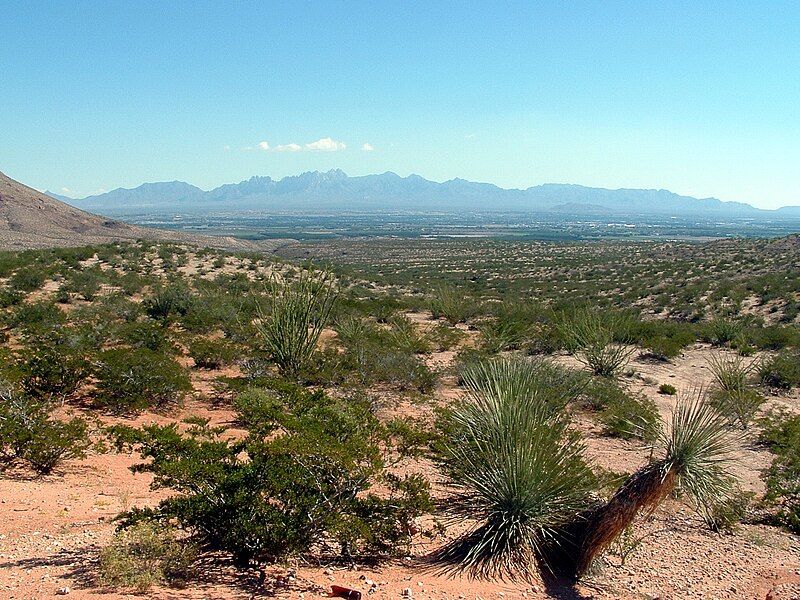 File:Mesilla valley.JPG