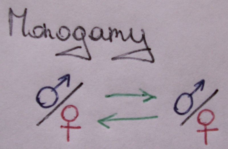 File:Monogamy.JPG