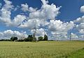 Wheat fields in Kose