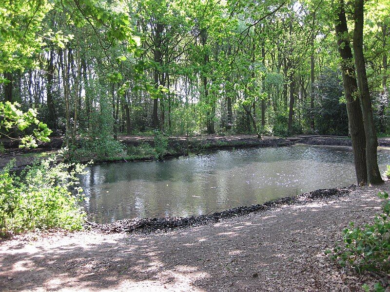 File:Palmers Rough Pond.JPG