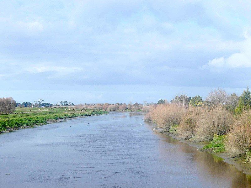 File:Piako river 1.JPG