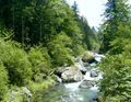 Pyrenees summer stream.