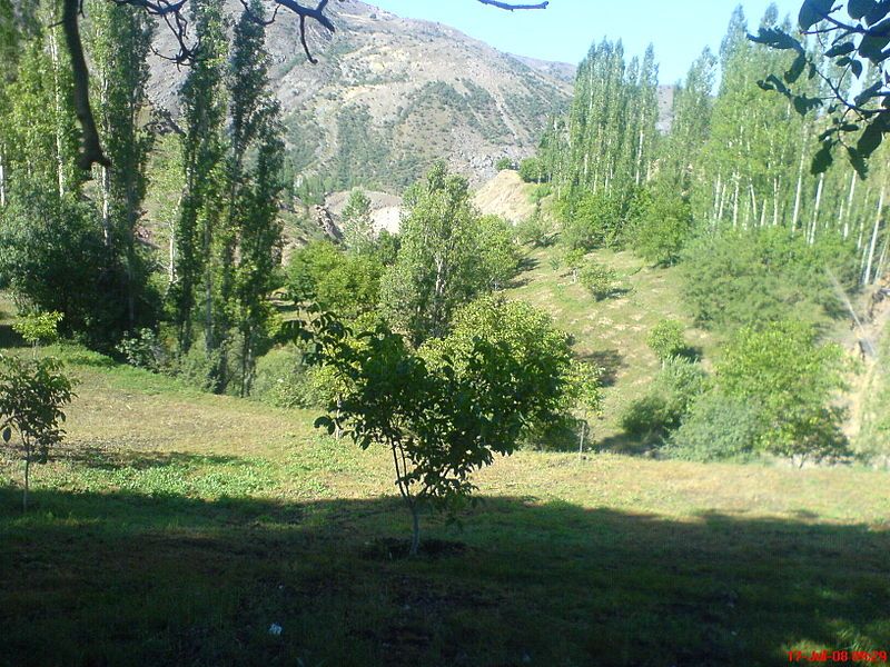 File:Susahab nature 1.jpg