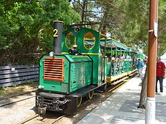 The Tramway du Cap-Ferret