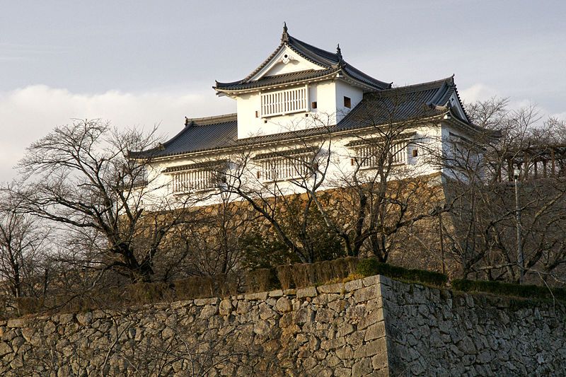 File:Tsuyama Castle03n3200.jpg