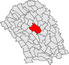 Location in Botoșani County