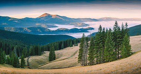 Carpathian Biosphere Reserve in Zakarpattia Oblast