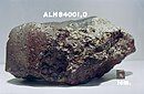 The meteorite ALH 84001.