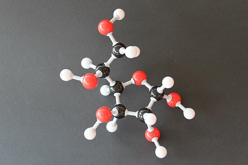 File:Alpha-D-Glucofuranose Molekülbaukasten 9134.JPG