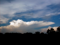 Ideal anvil shaped Cumulonimbus