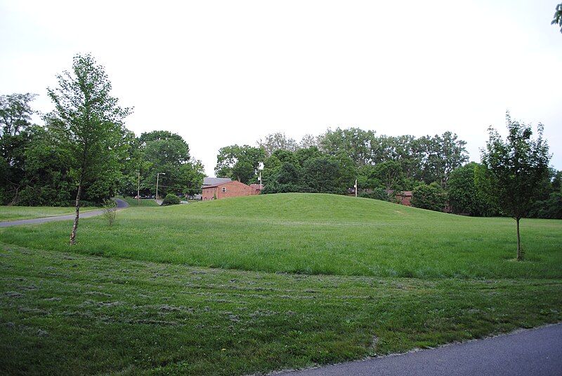 File:Clinton-Como Park mound.jpg