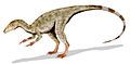 Compsognathus, a Compsognathid from Europe, 1 m