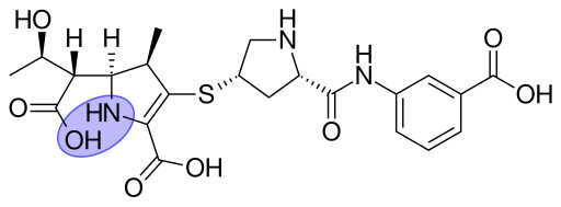 File:Ertapenem open-ring metabolite.svg