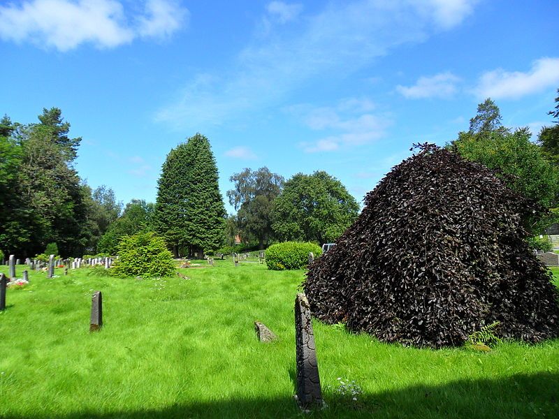 File:Fana kirke, kirkegården.jpg